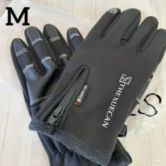 Item thumbnail for item 78e968aa-08e8-4f1a-85fe-60a71a935433