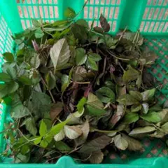 イブ1989様 リクエスト 3点 まとめ商品