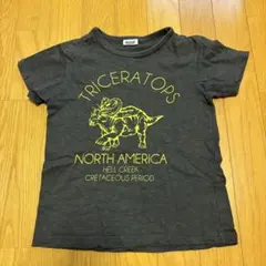 BREEZE トリケラトプス Tシャツ 120