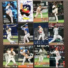プロ野球チップス2025 まとめ