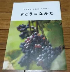 Item thumbnail for item 49cb10fc-f01e-44ad-af4a-4a2648ba4adc