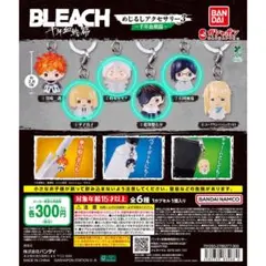 ブリーチ BLEACH 千年血戦篇 めじるしアクセサリー3 コンプリート 全6