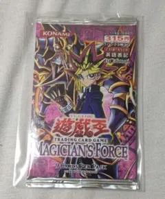 新品未開封 ガンダムウォー GW スリーブ大会優勝景品 ゴッドガンダム