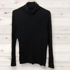 D0162 アースミュージックアンドエコロジー ブラウス 長袖 (F) 黒 無地