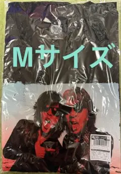 GLAY HISASHI Tシャツ EXPO タオル ズラー ブックマーク - メルカリ