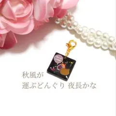 ♥684✨️1点限定✨️季節の猫さん チャーム