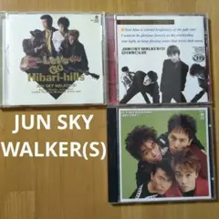 【す9830】JUN SKY WALKER(S) ジュンスカイウォーカーズ
