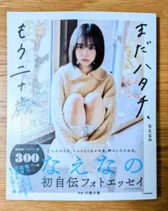 Item thumbnail for item 855741c1-b9e8-44f9-8e57-d63367006979