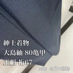 紳士着物 大島紬 80亀甲 正絹 裄67 y563