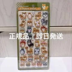 正規品 ボンボンドロップシール BONBON DROP 和柄 柴犬 第一弾
