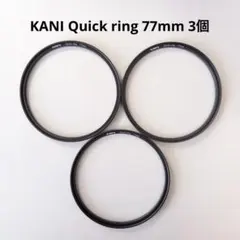 Item thumbnail for item a0be11f0-744b-4a7d-8dd2-1f4082187707