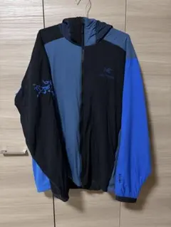 ダイ様専用 ARC'TERYX BEAMSコラボ ベータジャケット Lサイズ - メルカリ