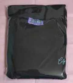 シティーハンター Tシャツ A