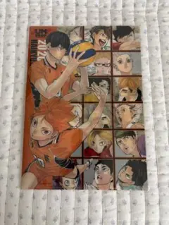 新品未使用 ハイキュー クリアファイル 影山飛雄 ブロマイド
