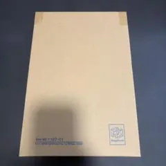 P.O.P ポートガス・D・エース Ver.1.5 ネット限定別注モデル