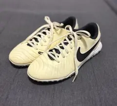 Item thumbnail for item 239548fb-d8c2-4649-b86e-b9cbfbe0cf59