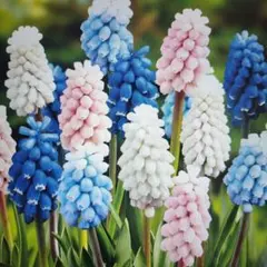 えいちゃん様 リクエスト 2点 まとめ商品