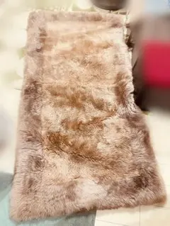 Item thumbnail for item 42c4d350-aa5a-4a3f-8705-12dfccc87880