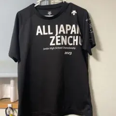 DESCENTE デサント 2017愛媛国体記念Tシャツ - メルカリ