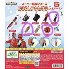 スーパー戦隊シリーズ めじるしアクセサリー