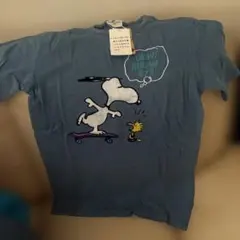 Item thumbnail for item c0698688-6067-45e8-917a-5ca6a124a85f