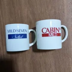 Item thumbnail for item d7f133b7-896a-4565-b897-9e2a53207fec