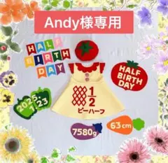 Andy様専用♡ キューピーハーフワンピース　ハーフバースデー女の子衣装