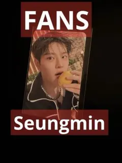 スンミン Straykids DO IT FANS 特典トレカ