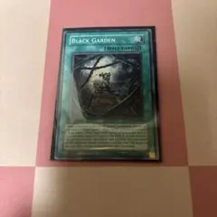 ブラックガーデン　英語版　スーパー