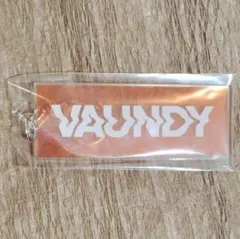 2026年最新】Vaundy replica キーホルダーの人気アイテム - メルカリ