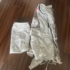 Item thumbnail for item 656ed851-8a9f-4ea6-9677-0cbcd06eba61