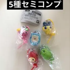 たまごっち カラフルマルチチャーム 5種 セミコンプリート まめっち くちぱっち