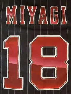 Bs夏の陣2025 プリントナンバー　ユニフォーム オリックス　宮城選手