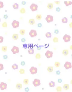 専用ページ