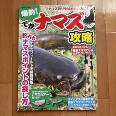 爆釣!でかナマズ攻略