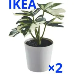 【新品未使用】IKEA フェイカ 人工観葉植物 鉢カバー付きモンステラのサムネイル
