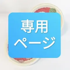 専用出品