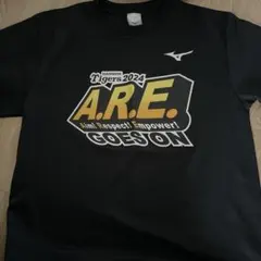 阪神タイガース　2024スローガン　Tシャツ　Lサイズ