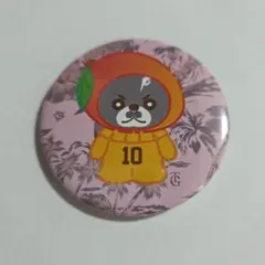 Item thumbnail for item 3e4b5f7e-0738-4906-acda-3e70ddfa9675