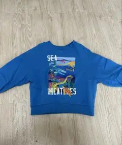 breeze 海の生き物トレーナー