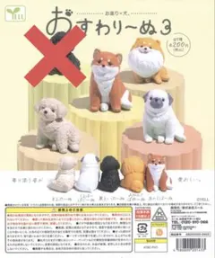 おすわり〜ぬ3 しば　パグ　ポメ　マルプー　4個セット　おすわりーぬ