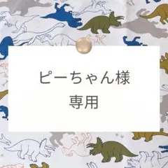 ピーちゃん様【手提げ/上靴袋/体操着袋/給食袋】ハンドメイドオーダー