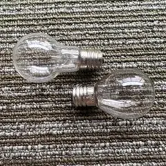 白熱電球 110V 2個セットのサムネイル