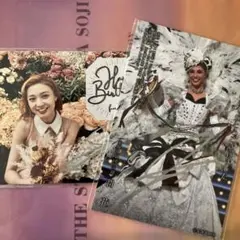 Item thumbnail for item 06875f42-61db-42c7-a984-1cb939349f5d