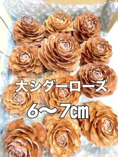 ②シダーローズ　特大12コ　ハンドメイド　木の実　木ノ実　リースのサムネイル