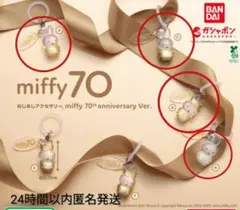 めじるしアクセサリーmiffy 70th anniversary☆4個セット！！