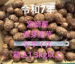 2026年最新】里芋 赤芽の人気アイテム - メルカリ