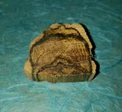 2025年最新】黄熟香の人気アイテム - メルカリ