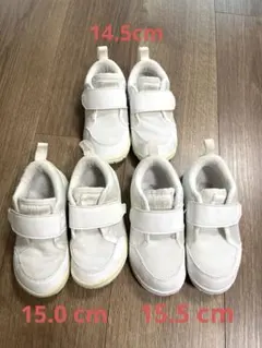 ASICS 上履き キッズ 14.5, 15.0, 15.5 cm