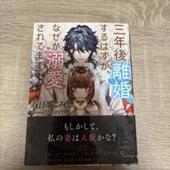 三年後離婚するはずが、なぜか溺愛されてます